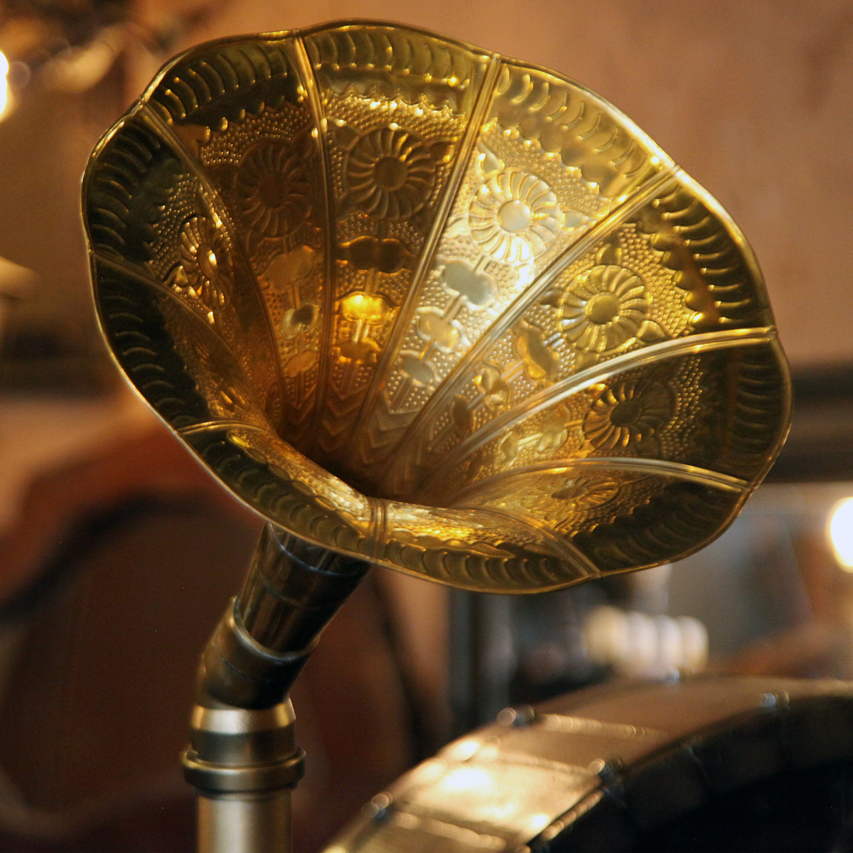 Gramofon Şaraplık